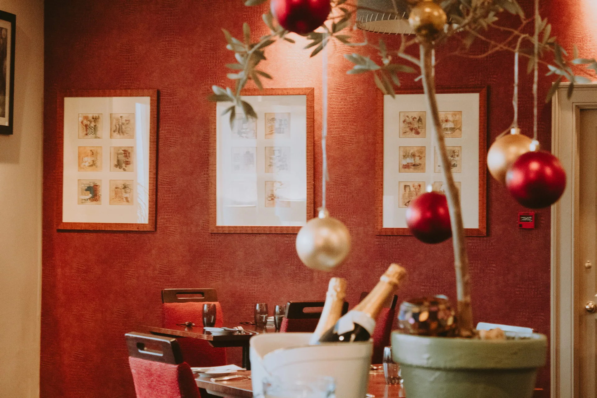 63 Tay Street Restaurant — photo 47