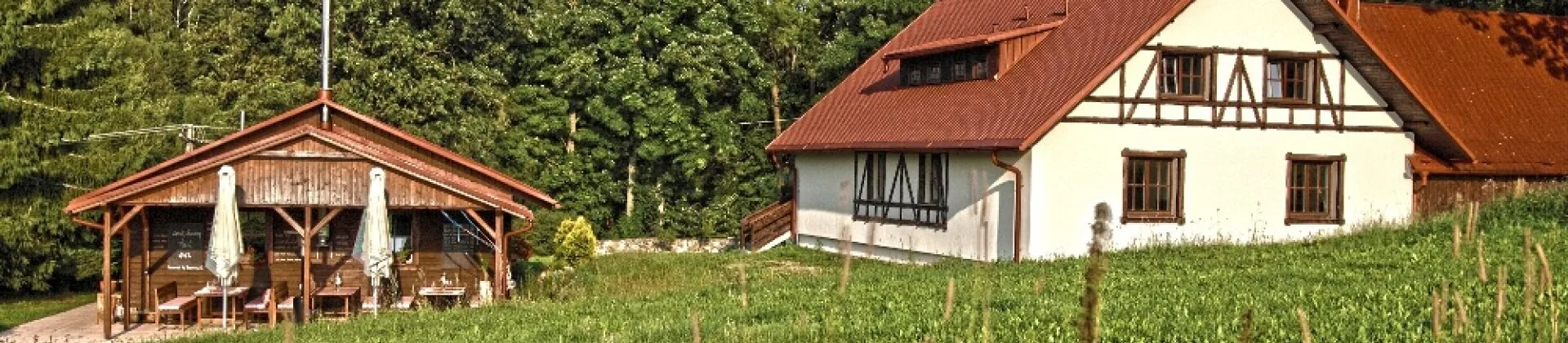 Rozmarýn — photo 51