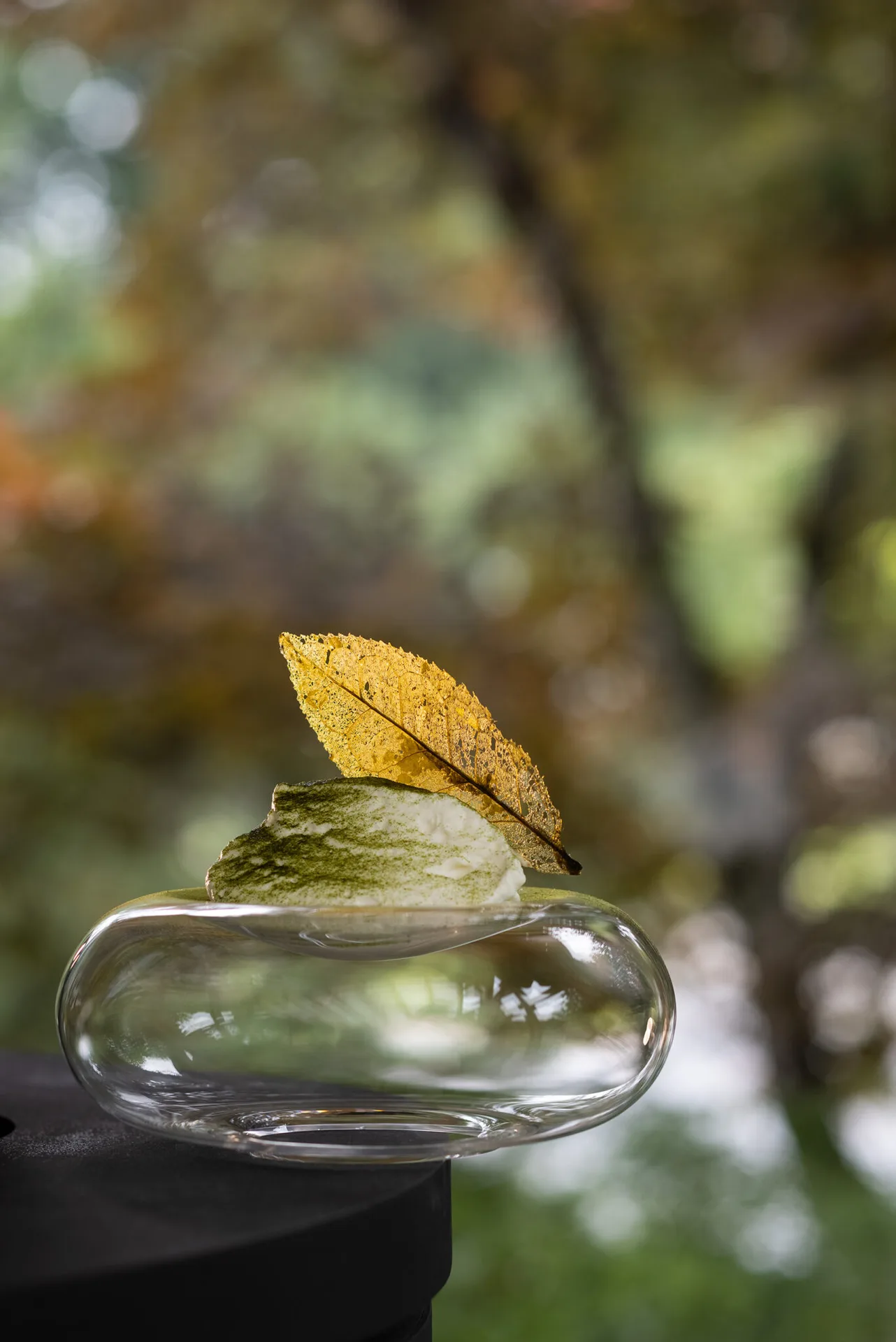 Rau — photo 13
