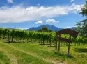 Agritur Calvola — photo 41