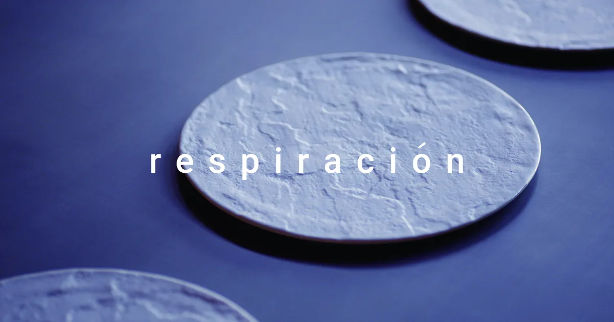 Respiracion — photo 11