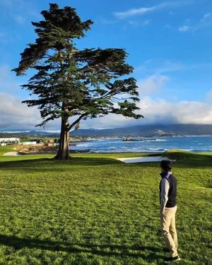 Roy's Pebble Beach — photo 4