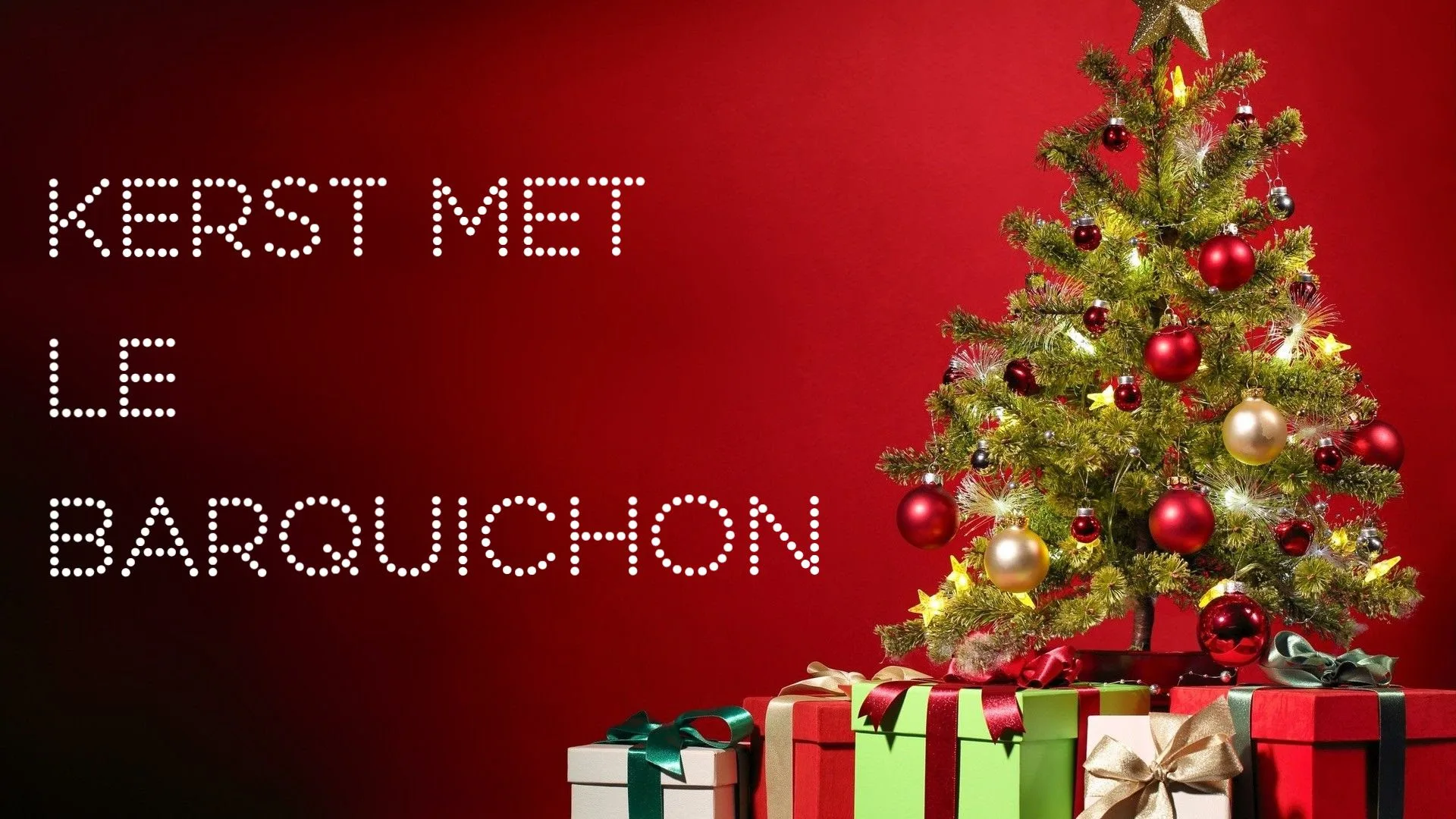 Le Barquichon — photo 18