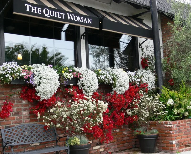 The Quiet Woman — photo 16