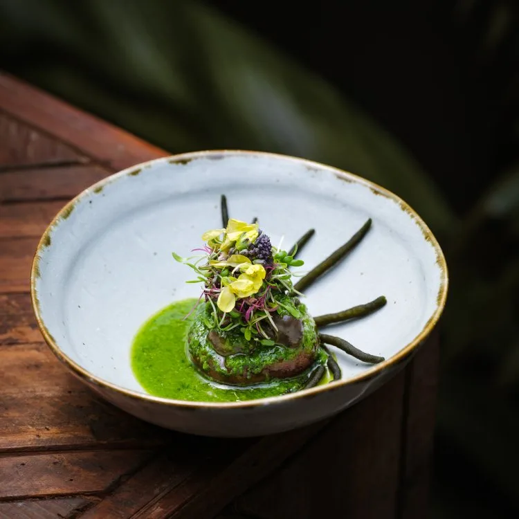 B23 — food