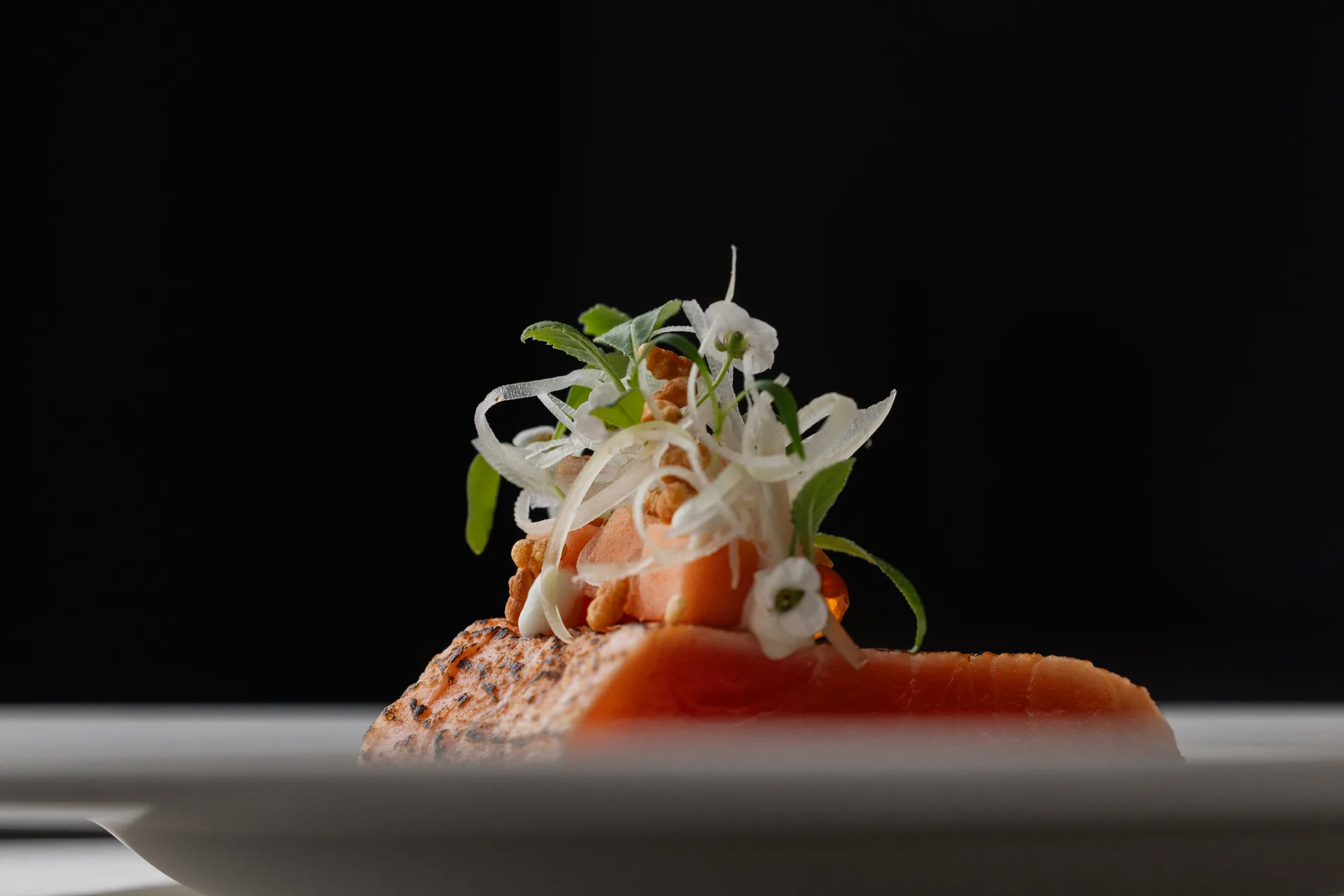 Panorama - Bistro — photo 6