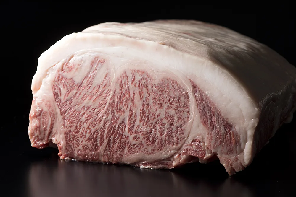 IMA — photo 7