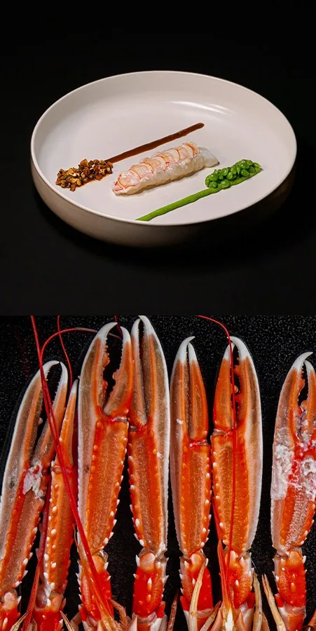 Eclectic — photo 5