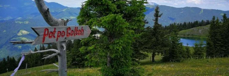 Restavracija Hotela Planinka — photo 12