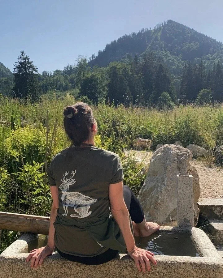 Stubn in der Frasdorfer Hütte — photo 23