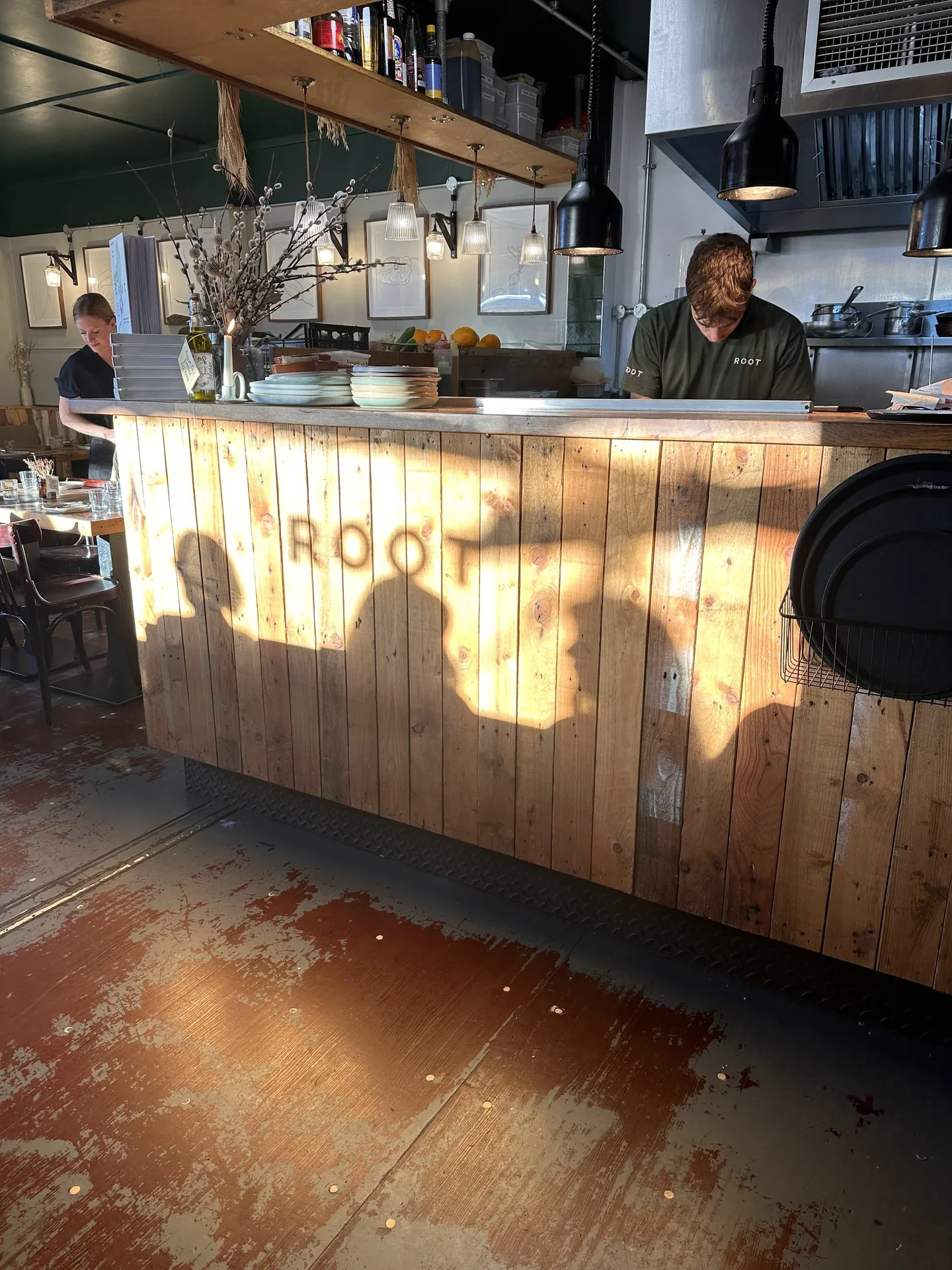 Root, Bristol