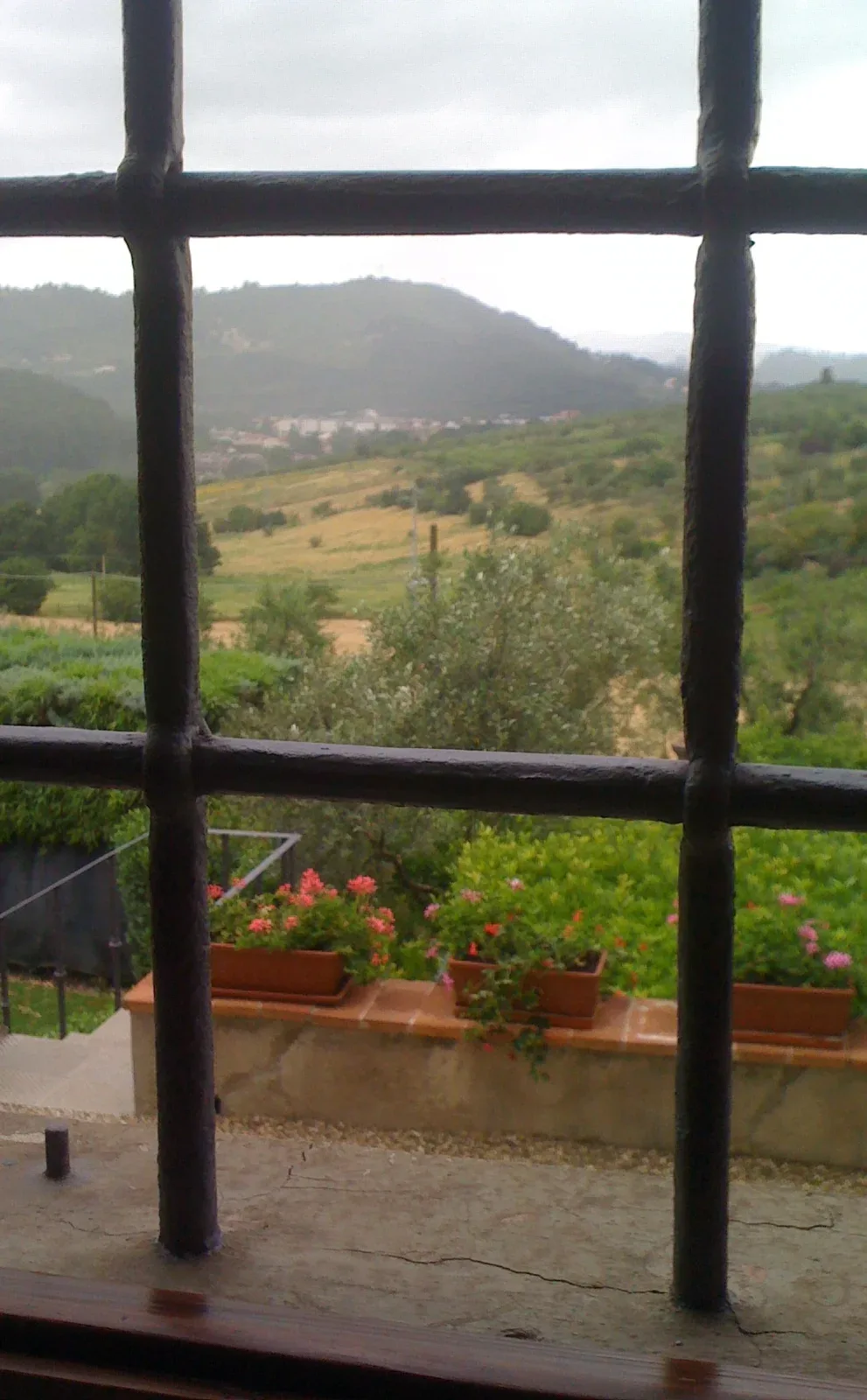 Via Carota — photo 19