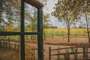 Lympstone Manor — atmosphere