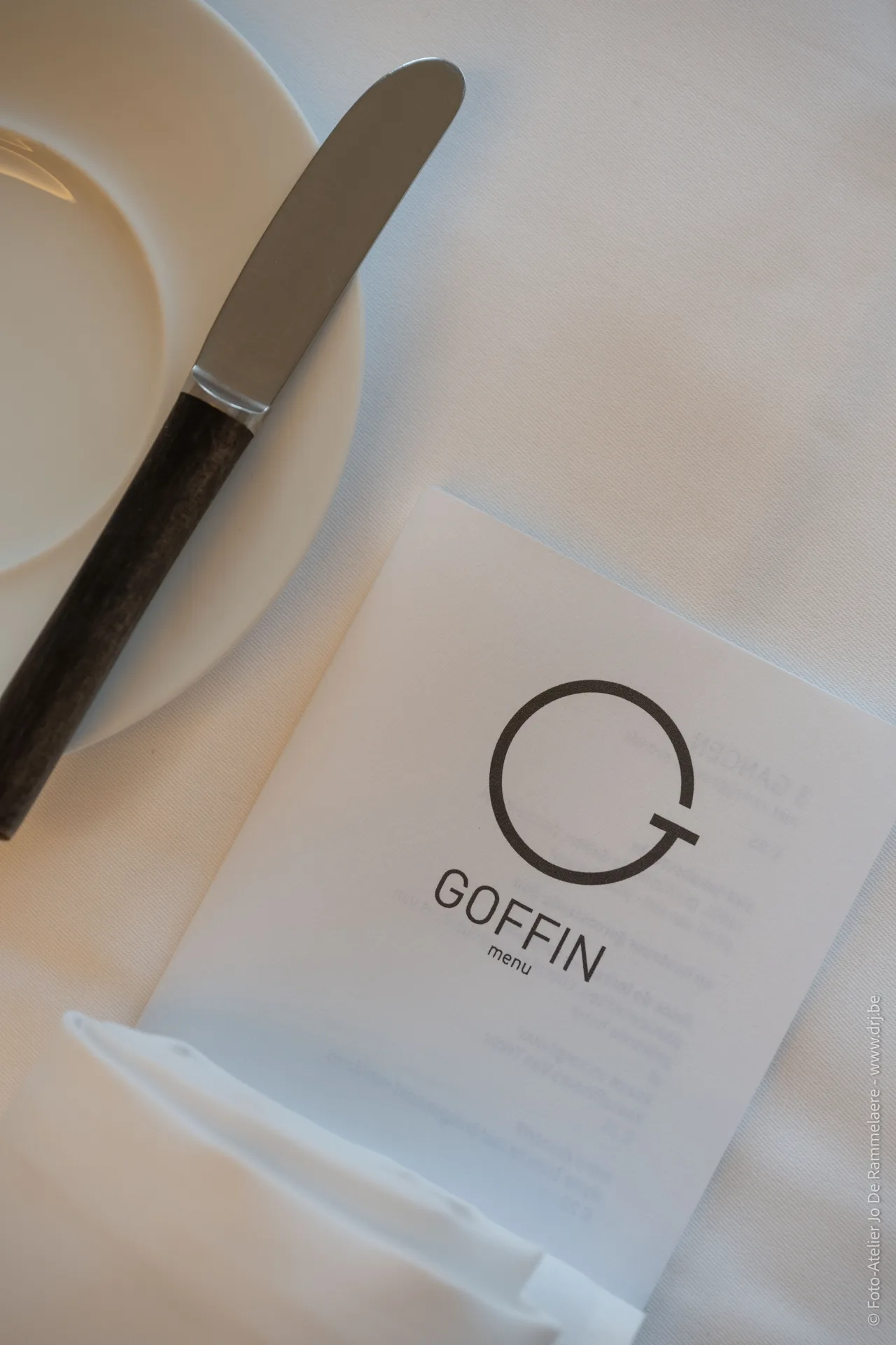 Goffin — photo 25