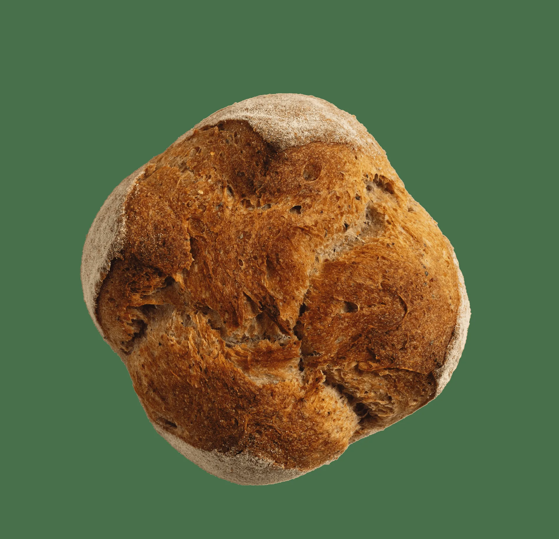 Assonica — photo 15