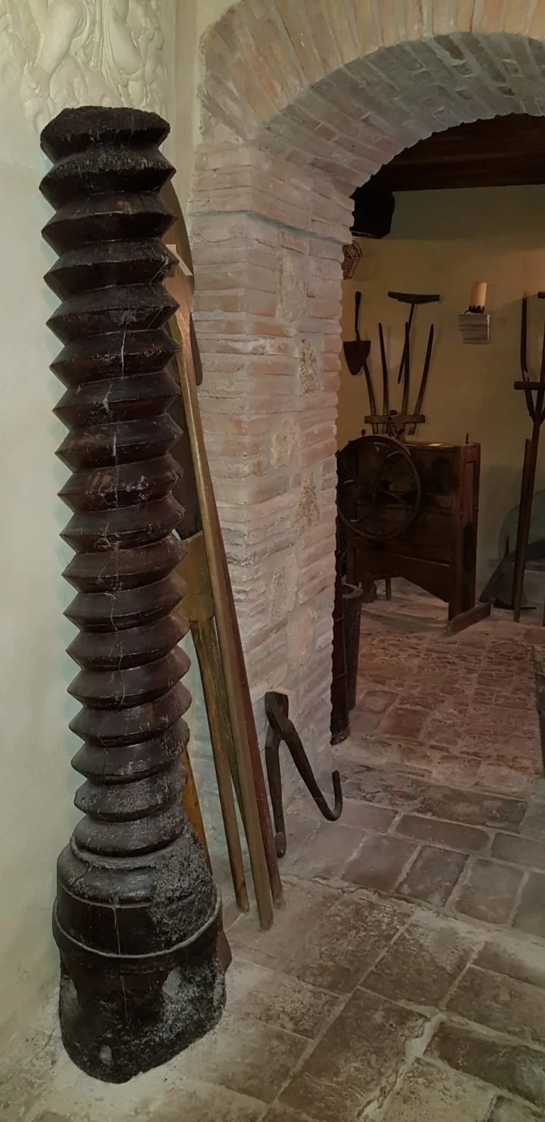 Tenuta del Gallo — photo 64