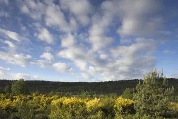 Moonstone — photo 33