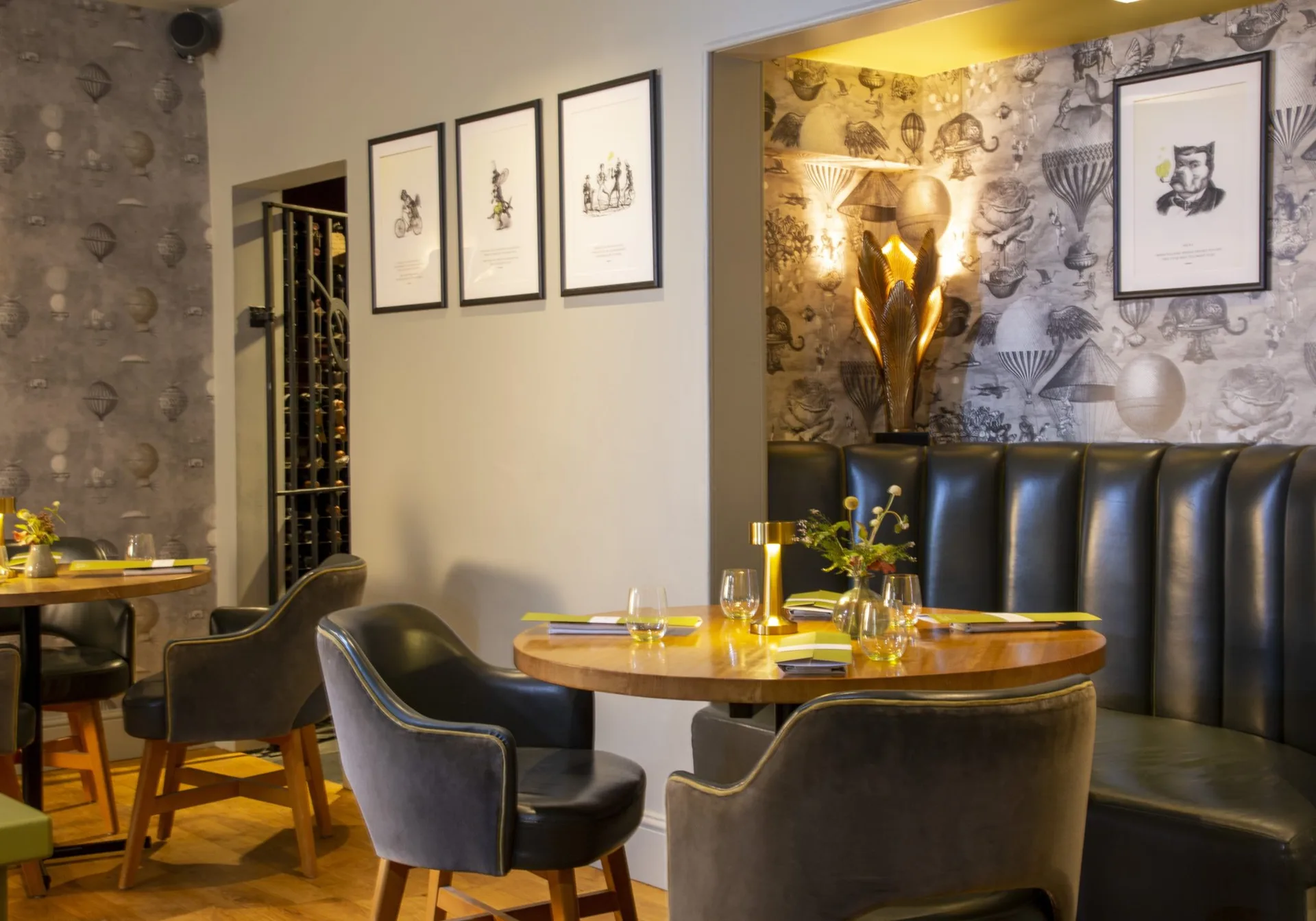 Olive Tree — photo 55