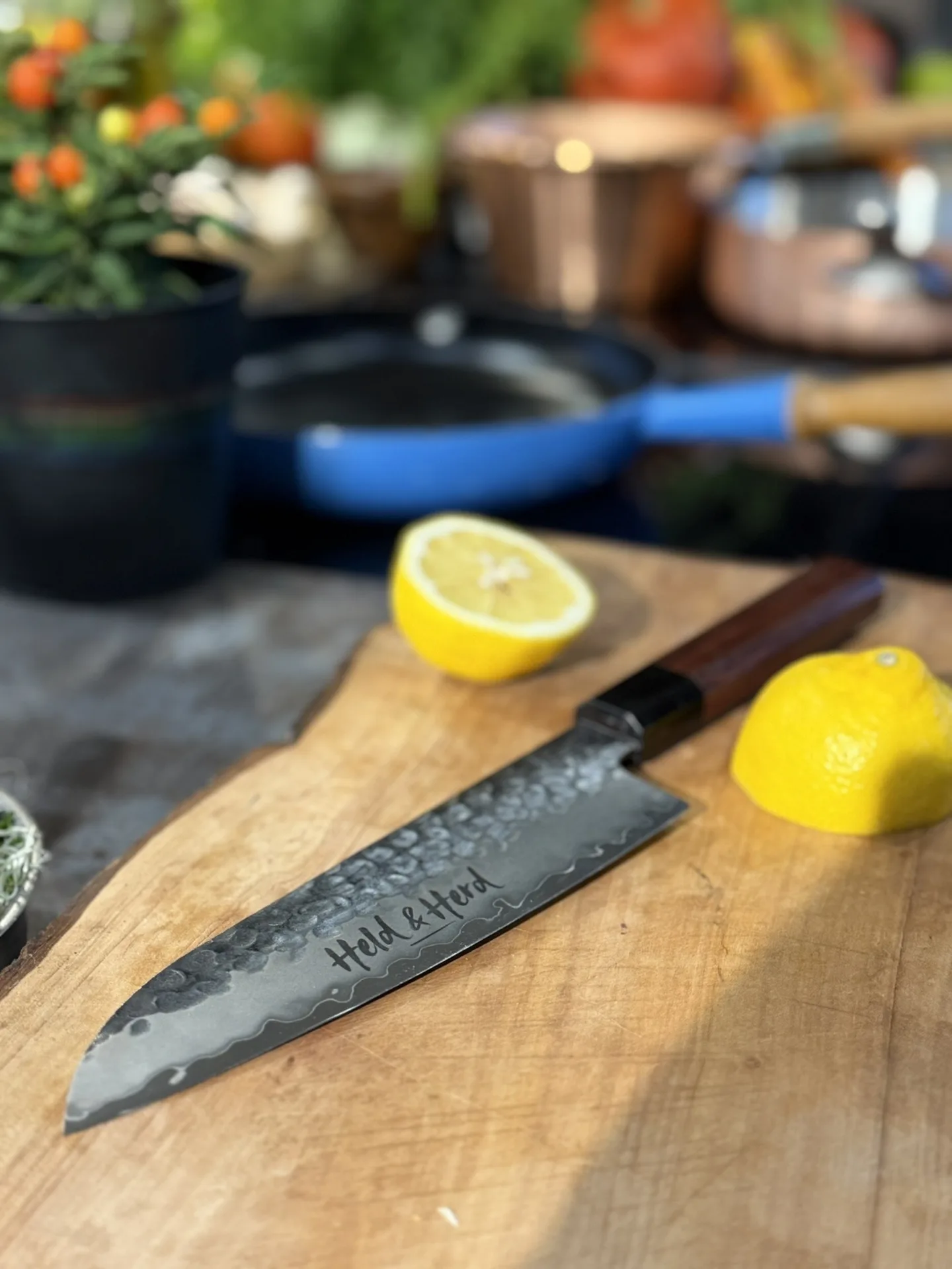 Siriuskogl — food