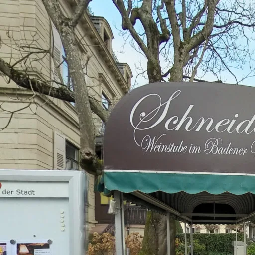 Schneider’s Weinstube im Badener Weinkeller — photo 24