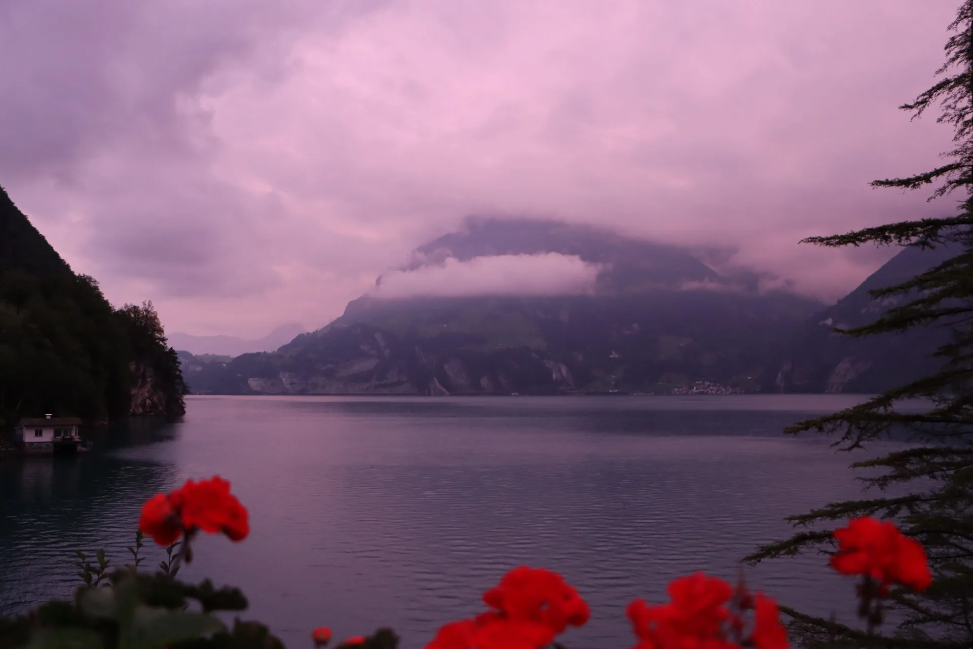 Fischli am See — photo 9