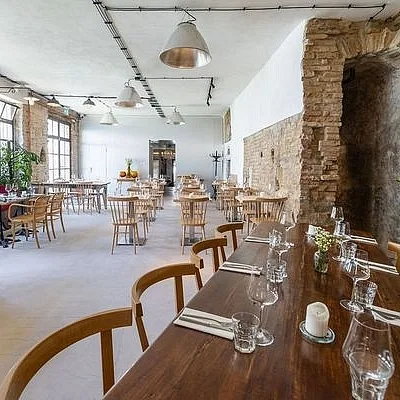 Truffle pig — photo 21