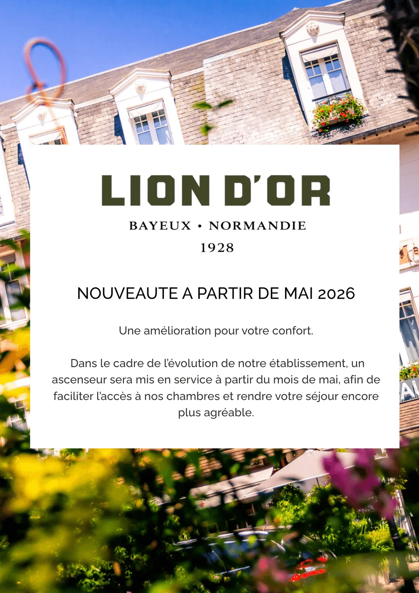 La Table du Lion — photo 18