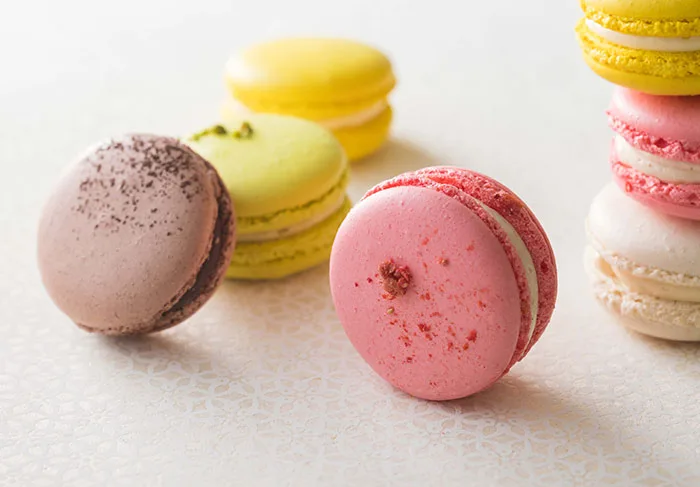 Joël Robuchon — photo 8