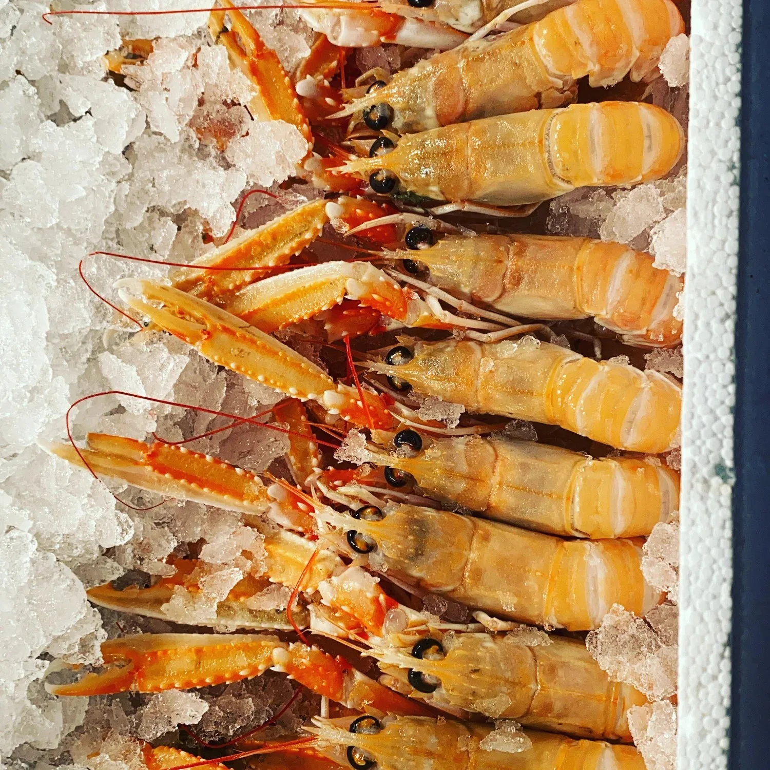 Saveur — photo 34