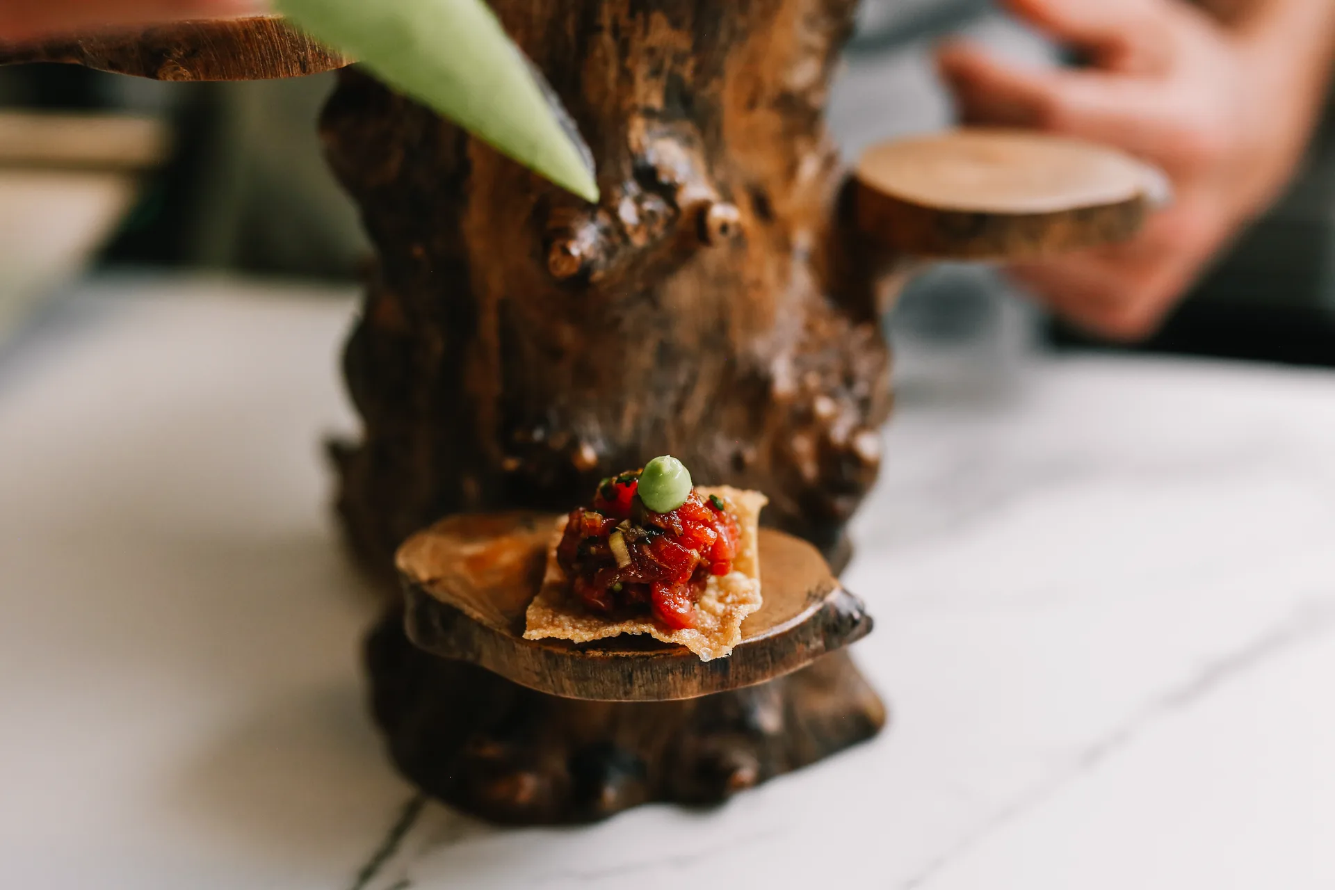 Terroir — photo 14