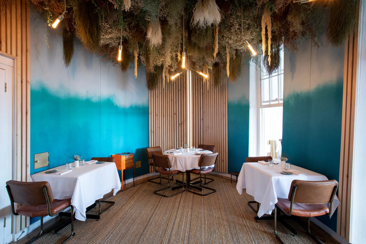Salsify at the Round House — photo 37