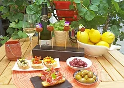 Kliemstein Vino Vitis, Linz