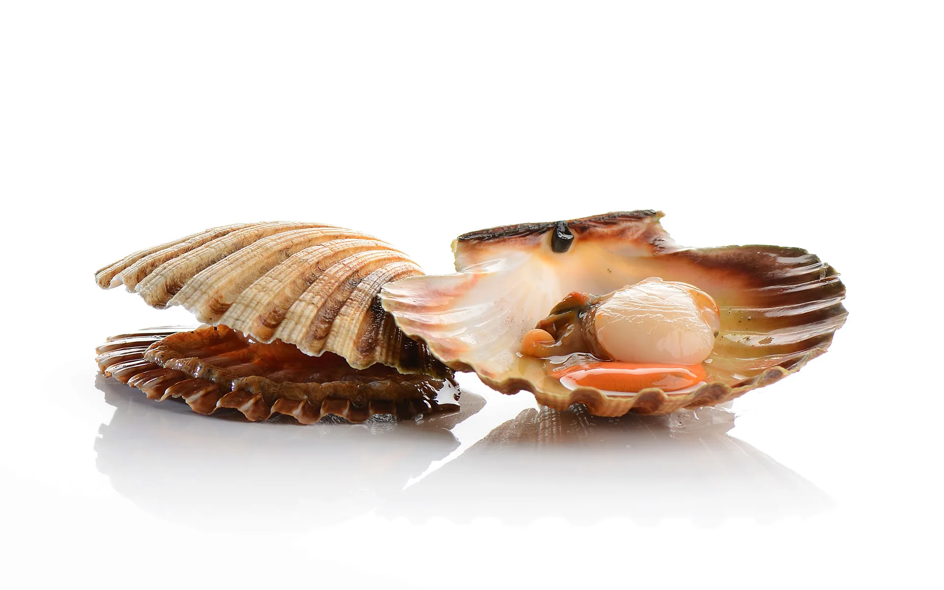 Konoba Buščina — photo 24