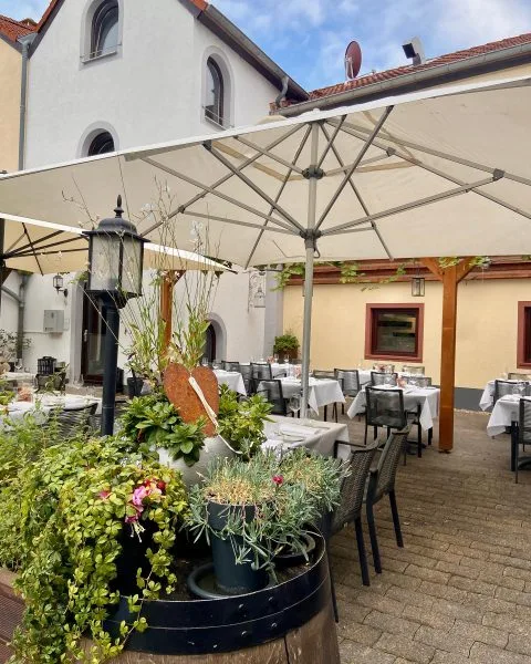 Restaurant Weingold — photo 14
