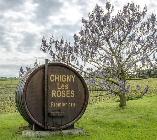 Couvert de Vignes — photo 4