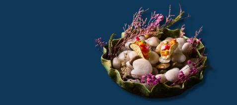 Prithvi — food