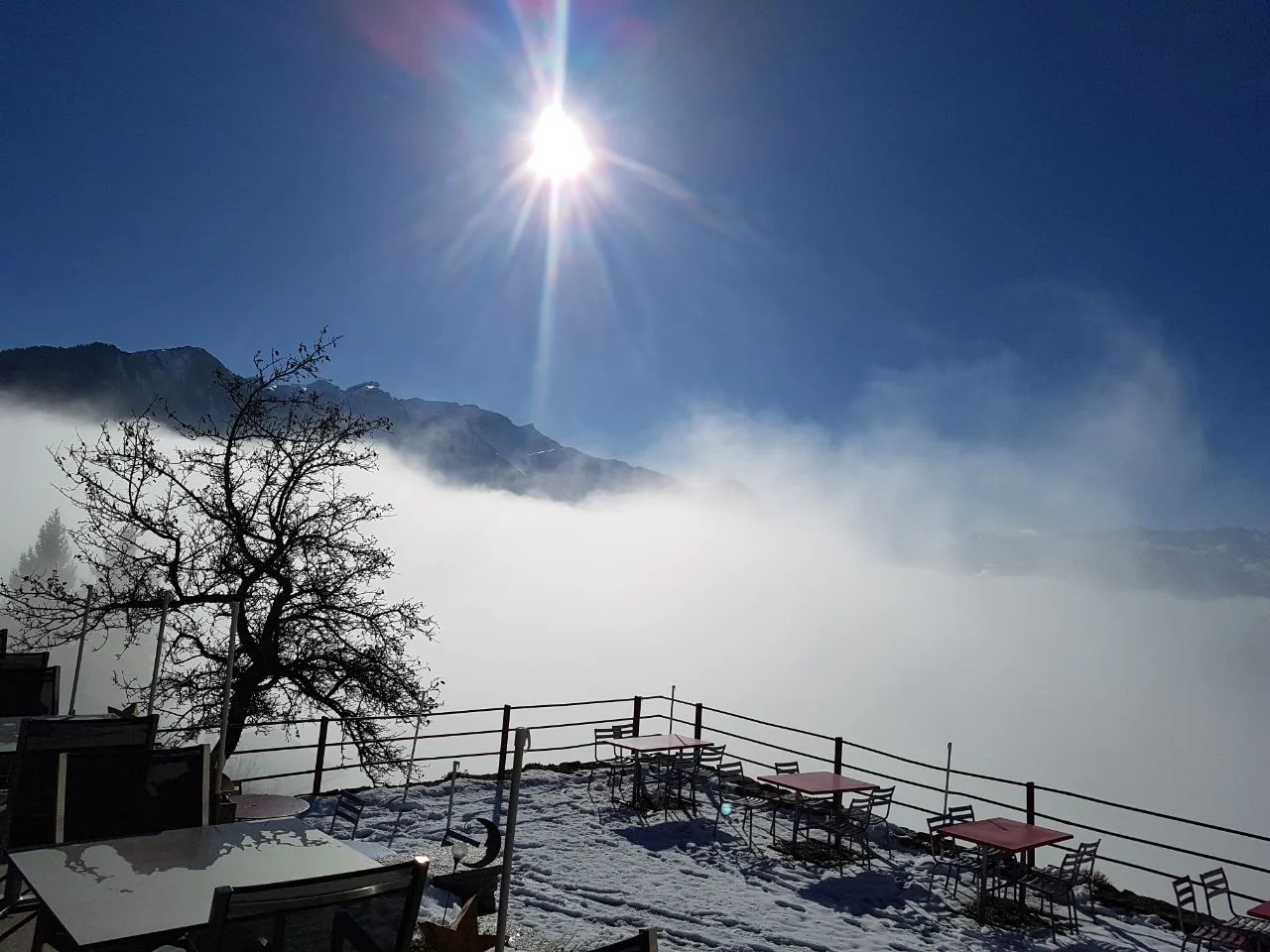 Berggasthaus Masescha — photo 33