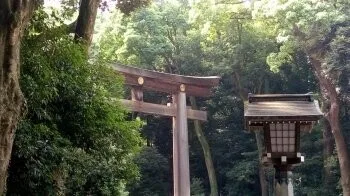 Koedo — photo 18