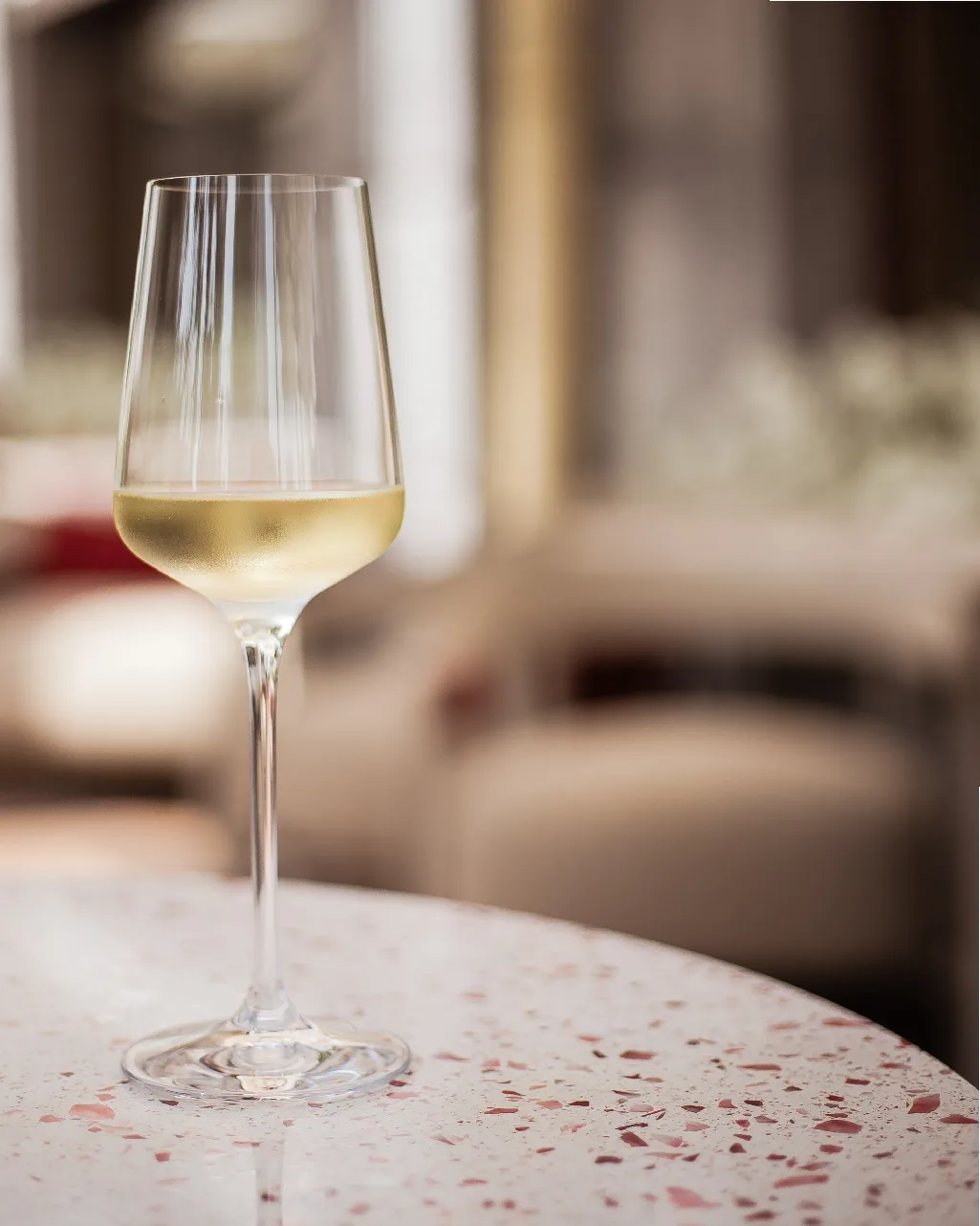 Main Wine — photo 39