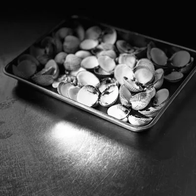 L'effet Papilles — photo 22