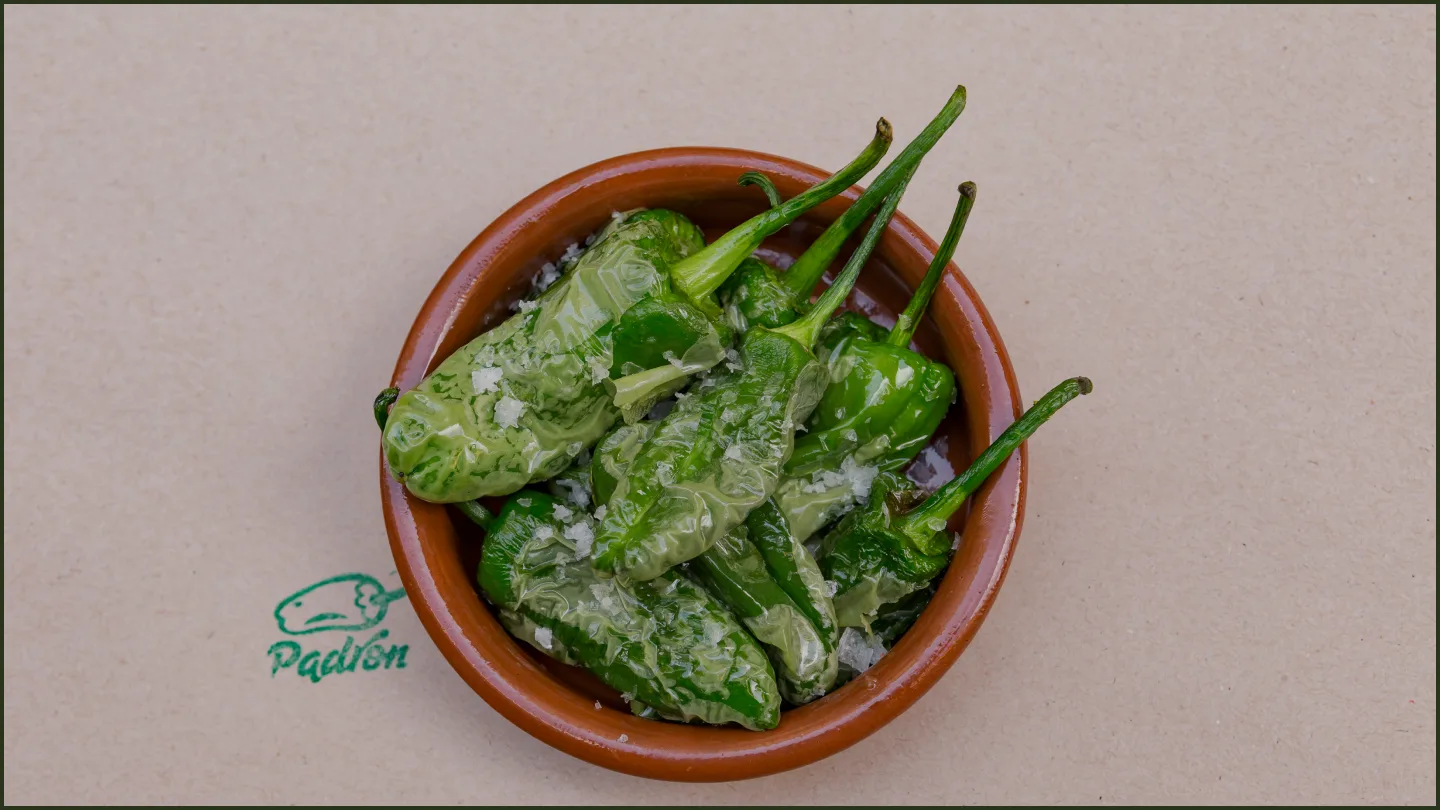 Padron Tapas Bár — photo 21