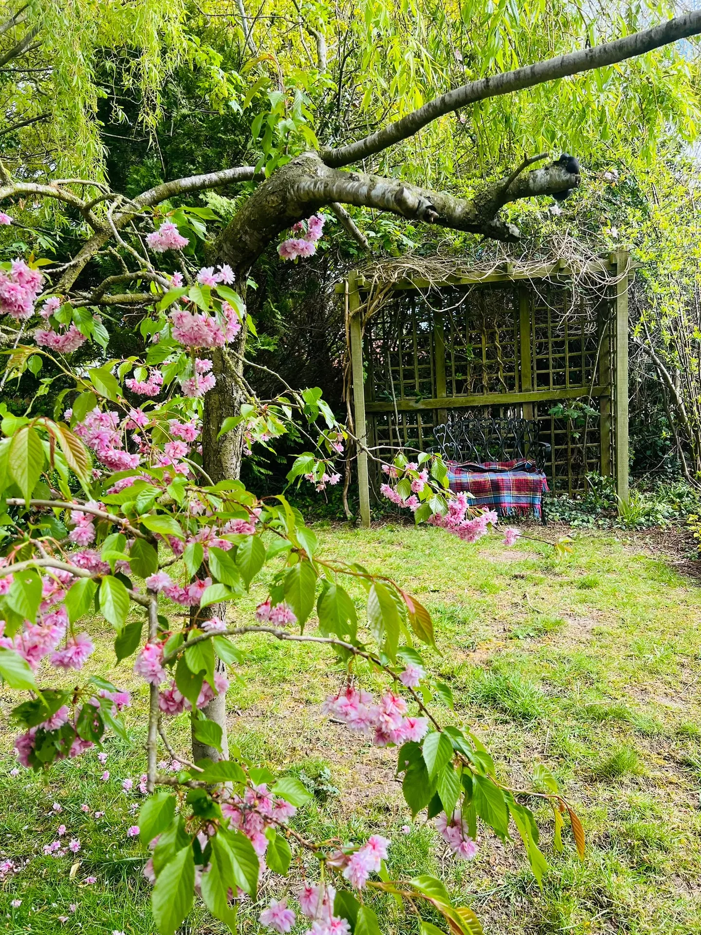 Morston Hall — photo 17