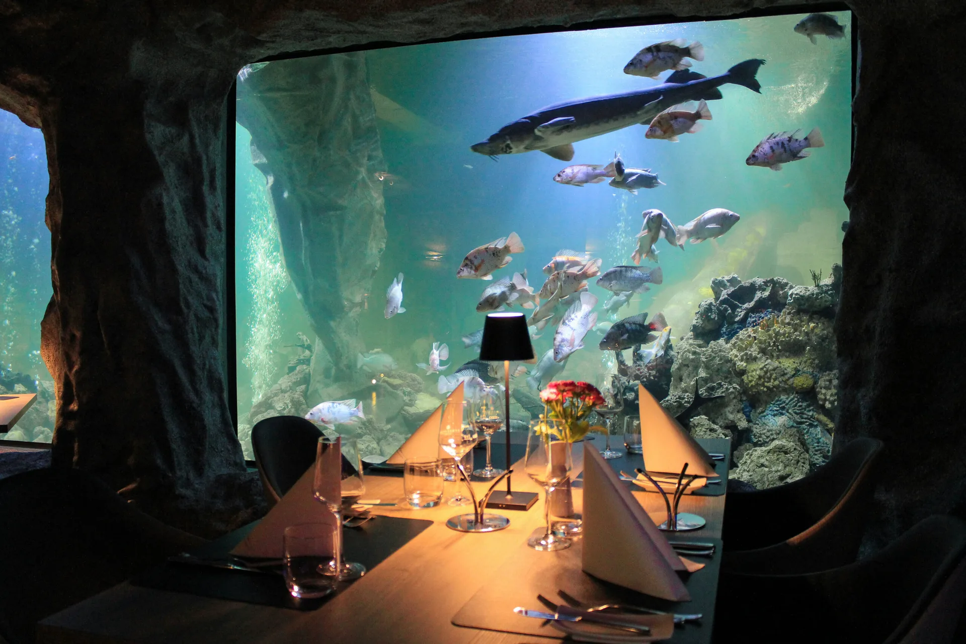 Restaurant La Mer — photo 35