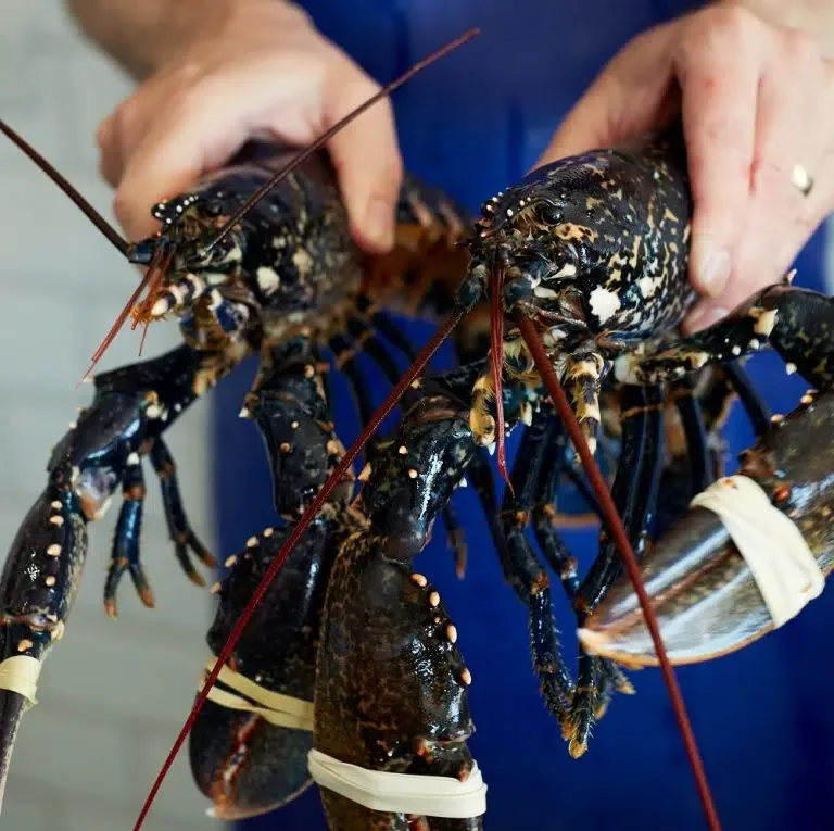 The Seafood Restaurant — photo 9