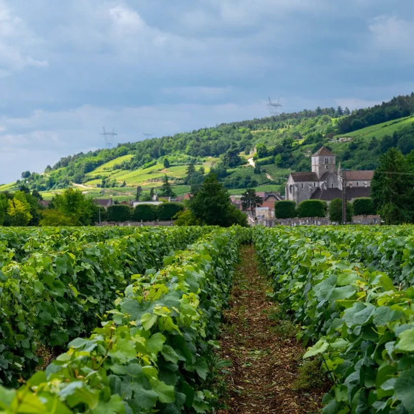 Le Montrachet — photo 59