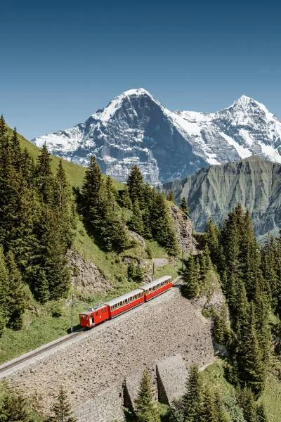 Victoria-Jungfrau Grand Hotel & Spa — photo 31