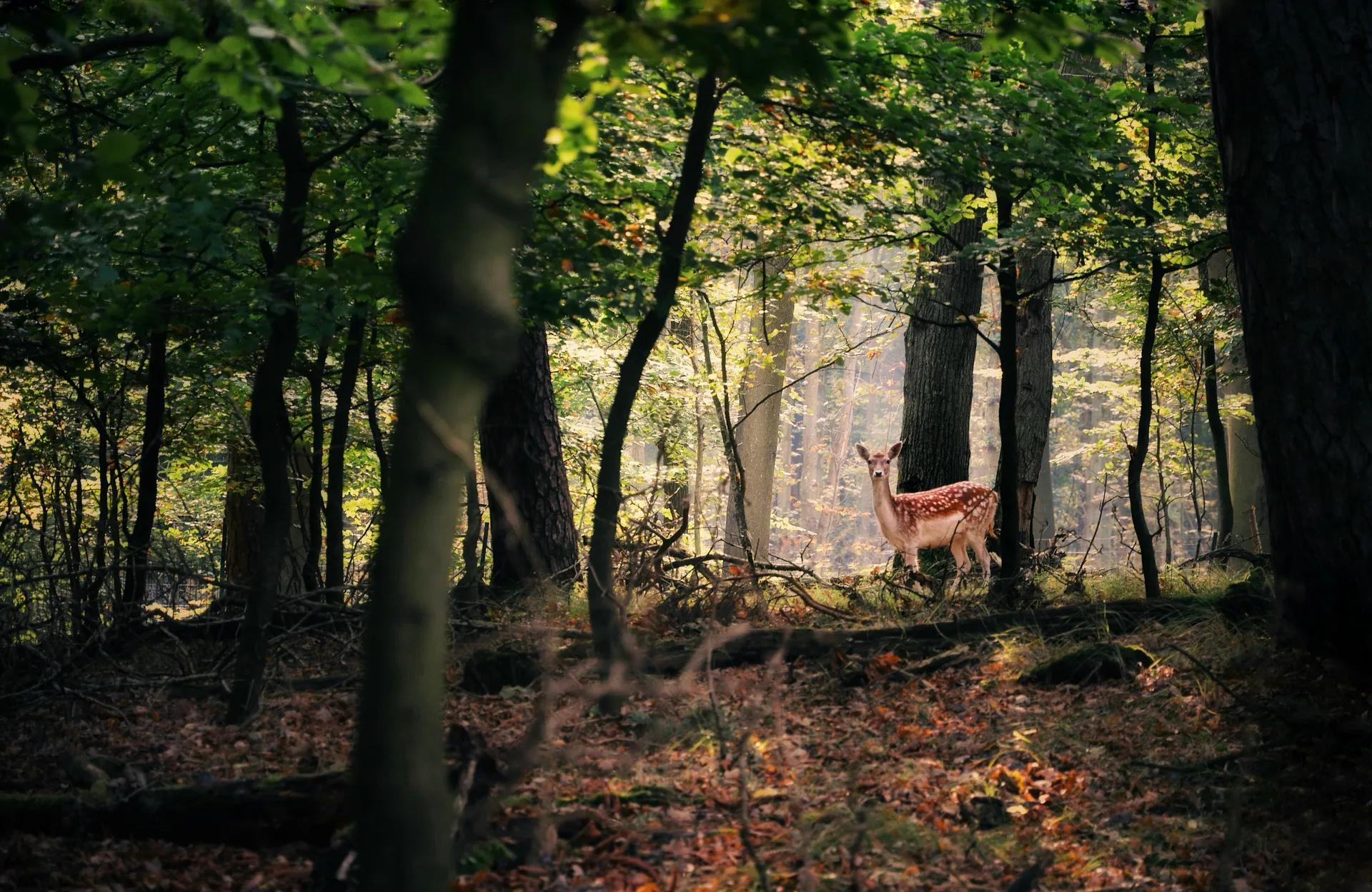 #heimat im Malerhaus — photo 42