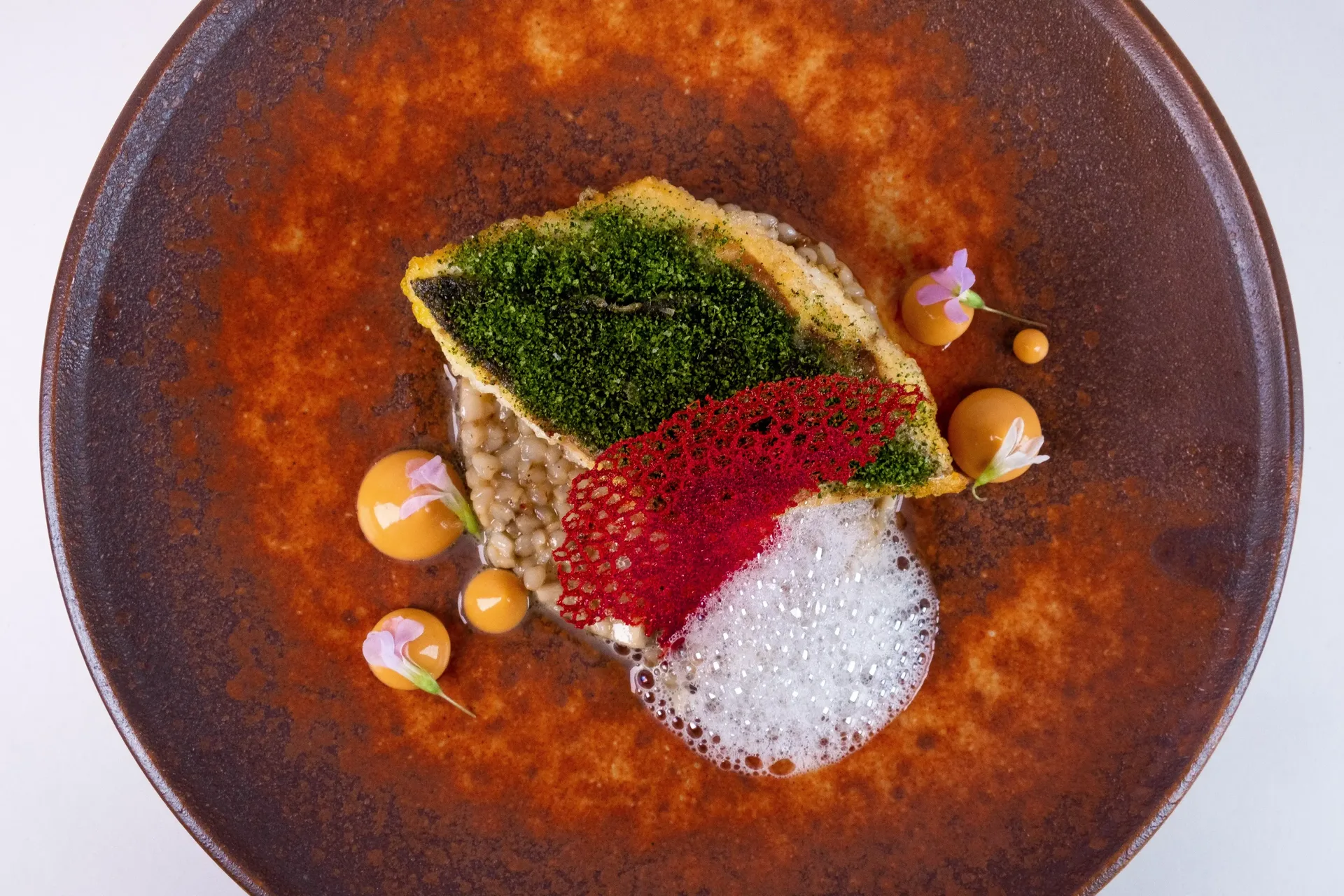 Nobu — photo 30