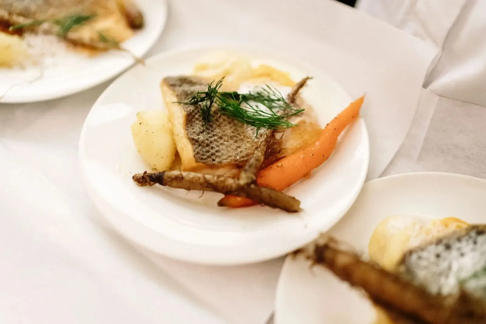 Restaurant Canova — photo 41