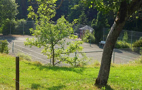 Zur Tanne — photo 7